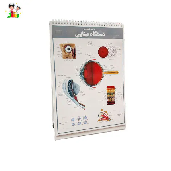 کتاب اطلس کالبد شناسی(آناتومی) بدن انسان | اندیشه کهن